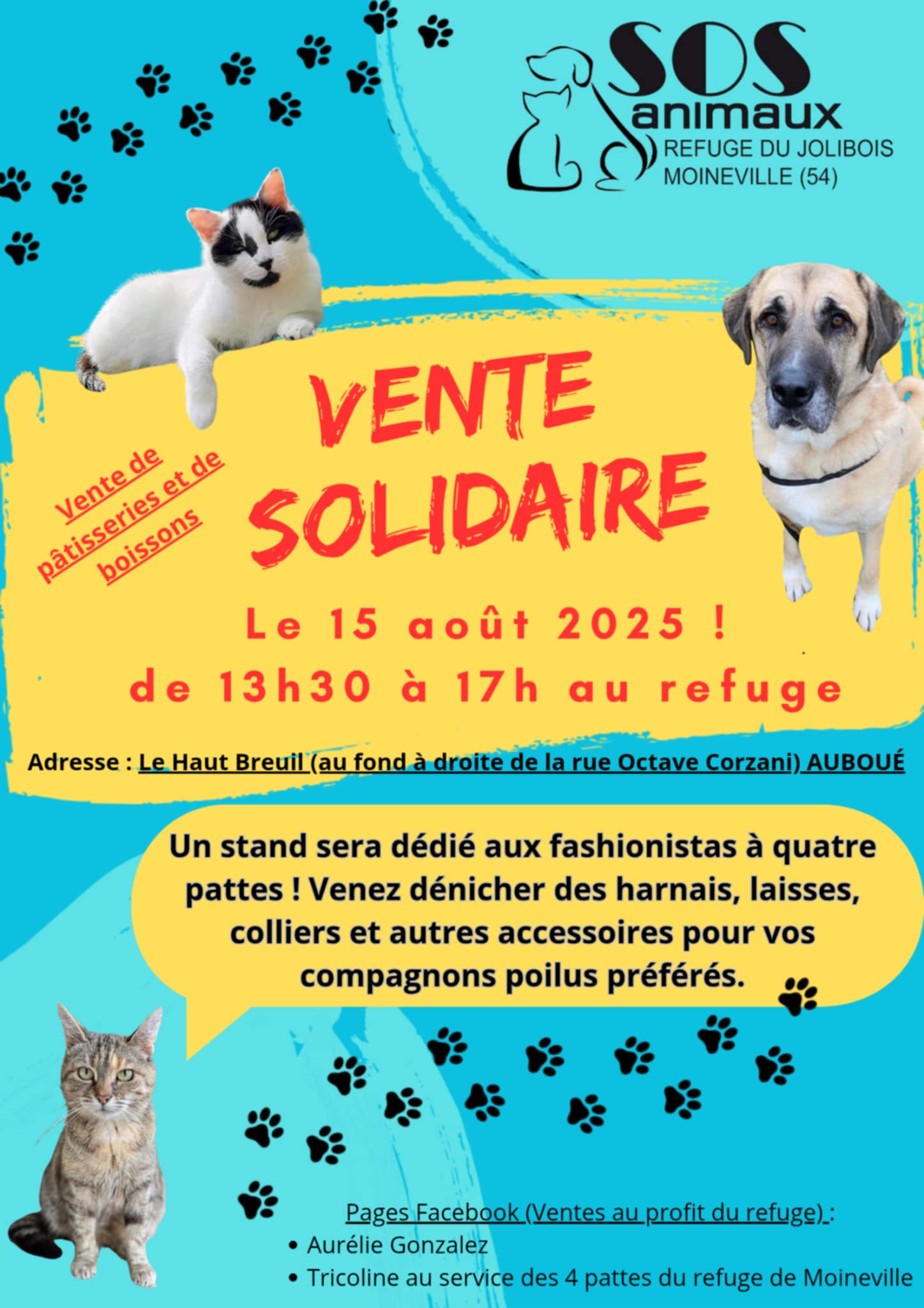 Lire la suite à propos de l’article VENTE SOLIDAIRE AU PROFIT DU REFUGE VENDREDI 15 AOÛT