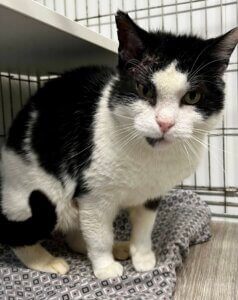 Lire la suite à propos de l’article Where is Bryan ?