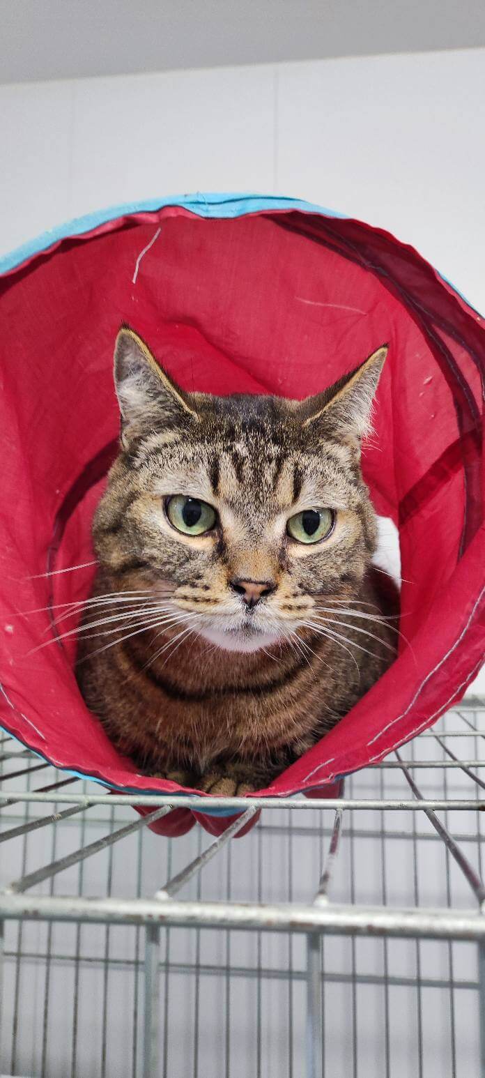 Lire la suite à propos de l’article PUSCO cherche sa famille pour la vie !