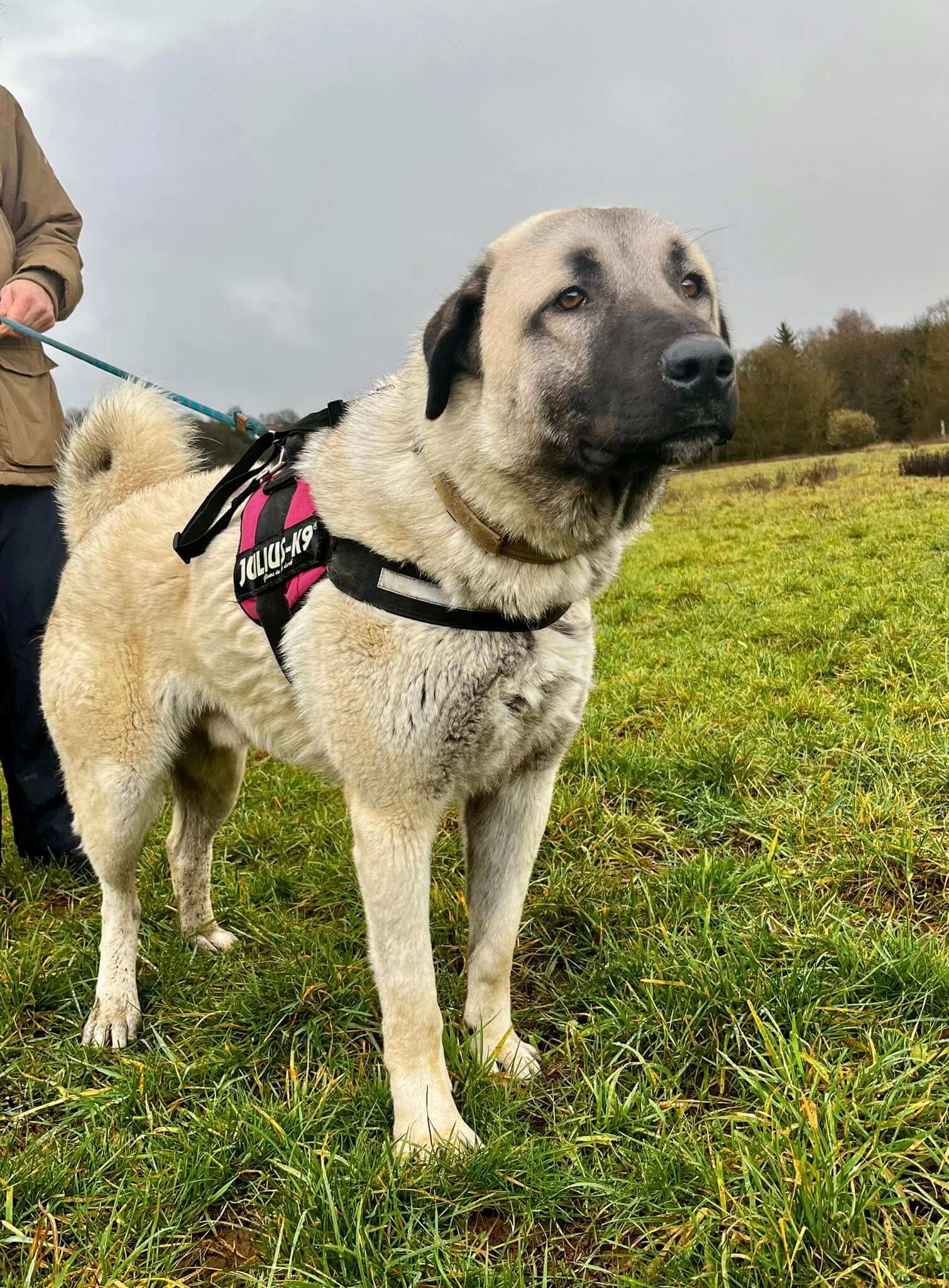 Lire la suite à propos de l’article YUKI