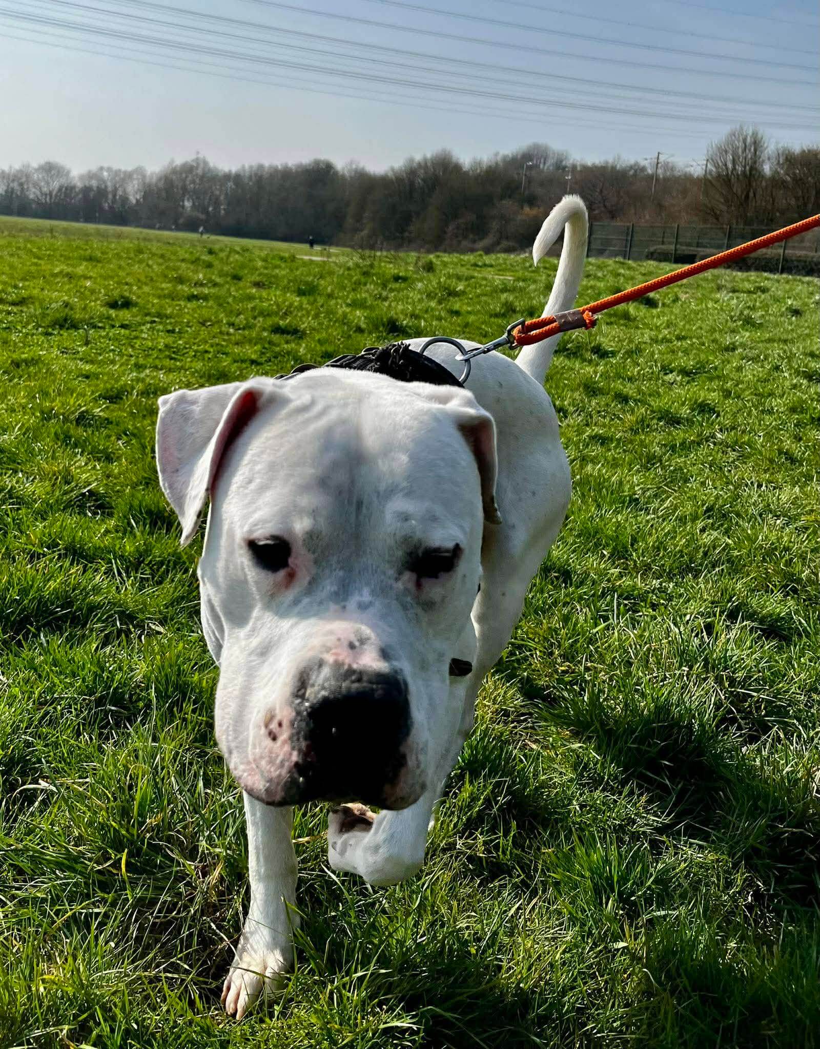 Lire la suite à propos de l’article T‑MAC — Un cœur immense dans un corps de gros nounours