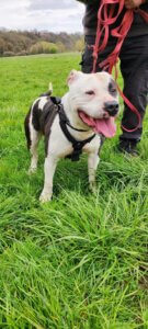 Lire la suite à propos de l’article FLASH – Le bon gros doudou tout en muscle, mais au cœur ultra tendre !