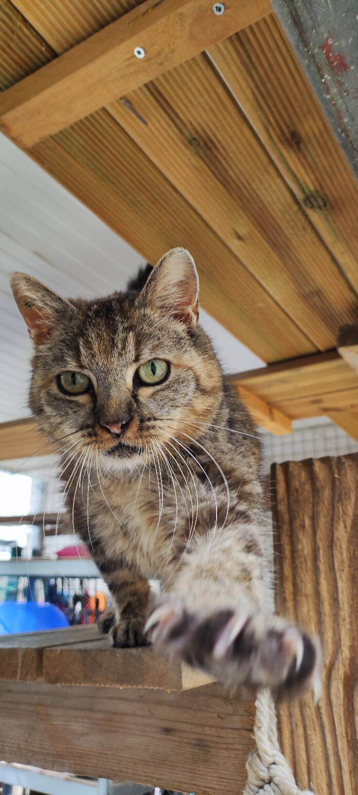 Lire la suite à propos de l’article PERLE, une petite coquine au grand cœur de 10 ans