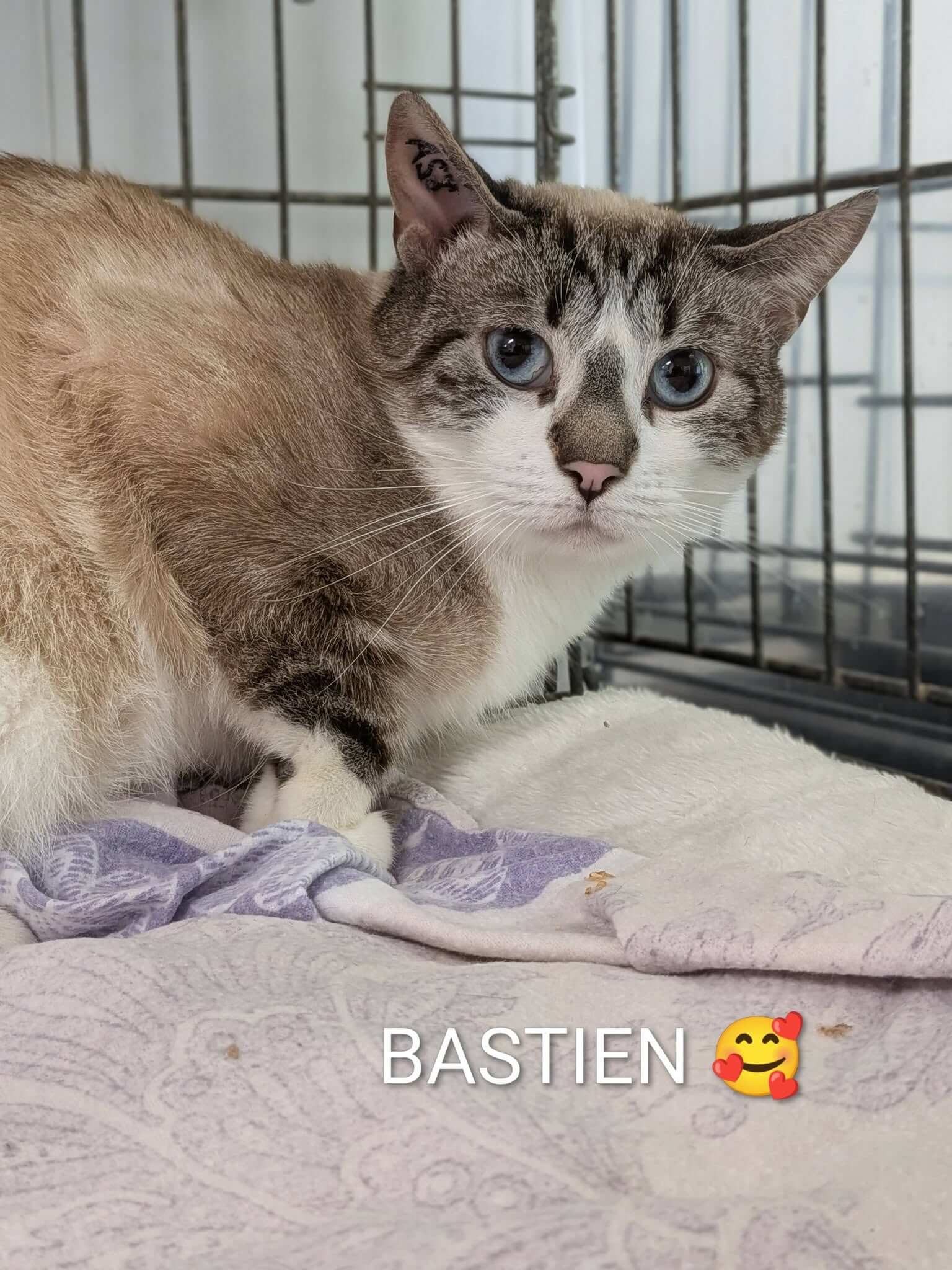 Lire la suite à propos de l’article 🌿 BASTIEN – 3 ans 🌿